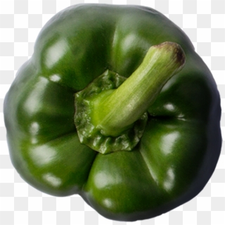 Green Pepper - Green Bell Pepper Clipart