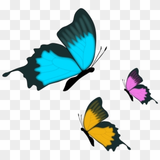 Butterfly Insect Nature - Clip Art Farfalle Png Transparent Png