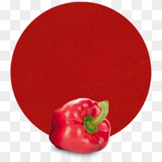 Com/wp Pepper Puree - Red Bell Pepper Clipart