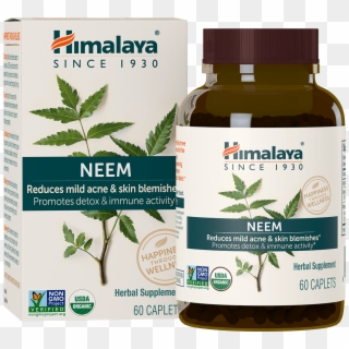 Organic Neem - Garcinia Cambogia Herbs In Hindi Clipart