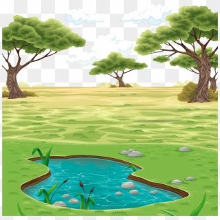 Drawing Clip Art Vector Colored Pond - Pond Landscape Drawing - Png Download