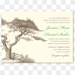Torrey Pines Wedding Invitations - Illustration Clipart
