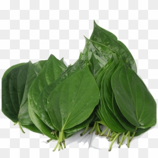 Organic Bitter Leaf - Bitter Leaf In Telugu Clipart