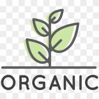 How Its Made Organic - Canasta Logo Clipart