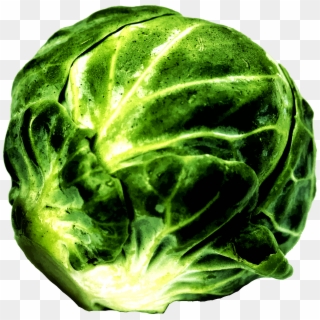 Medium Image - Brussel Sprout Clipart - Png Download