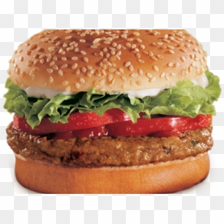 Hamburger Without Cheese Clipart