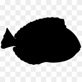 800 X 600 0 - Blue Tang Fish Silhouette Clipart