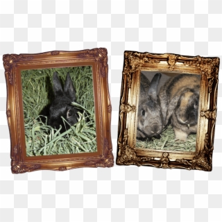 Feed Even More Hay - Picture Frame Clipart
