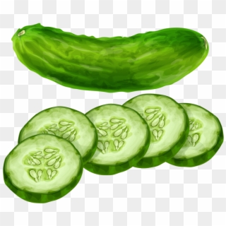 Cucumber - Pepino - Cucumber Clipart - Png Download