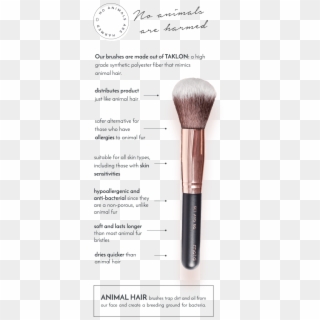 Our Range Of Makeup Brushes Are Peta Certified Cruelty - Makeup Brushes Clipart