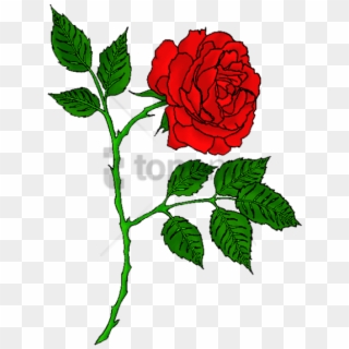 Free Png Red Rose Tattoo Transparent Png Image With - Rose Tattoo Png Clipart