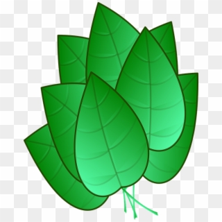Green Leaves Clipart Tobacco Leaf - Desenho De Folhas Verdes Png Transparent Png