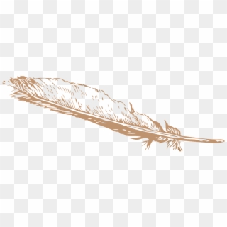 Png Freeuse Library Free Image On Pixabay Feather Pinion - Feather Clip Art Transparent Png