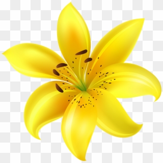 Yellow Flower Clip Art Image - Png Download