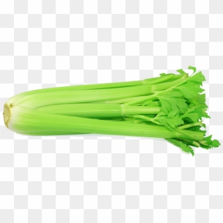 Celery - Celery With White Background Clipart