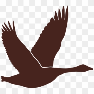 Bear Brown Silhouette Of A Canadian Goose Clipart