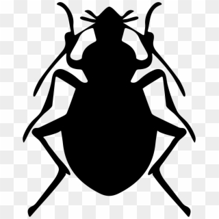 Svg Royalty Free Download Bug Vector Stink - Bug Shape Clipart