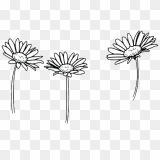 Comfortable Drawing Outline Sunflowers - Black And White Doodles Flowers Clipart