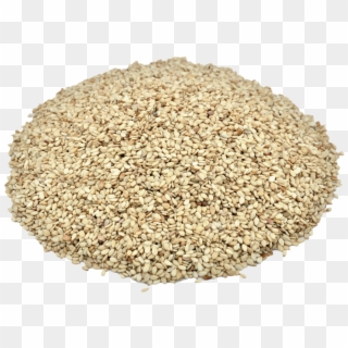 Herbs & Botanicals-sesame Seeds - Barley Clipart