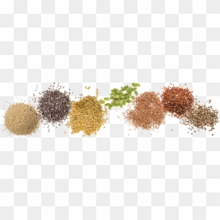 Learn More About Our Ingredients - Sesame Clipart
