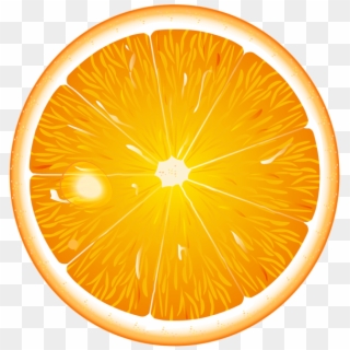 Round Orange Slice Png Clip Art - Round Orange Clip Art Transparent Png
