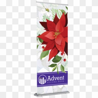 Advent Poinsettia Week 2 Banner - Poinsettia Clipart