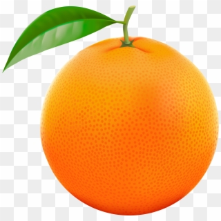 Orange Fruit Clipart Orane - Orange Clip Art - Png Download