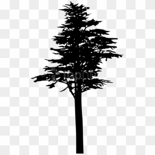 Free Png Pine Tree Silhouette Png - Силуэт Сосны Png Clipart