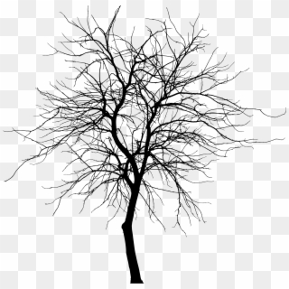Aspen Drawing Skinny Tree - Tree Silhouette Png Clipart