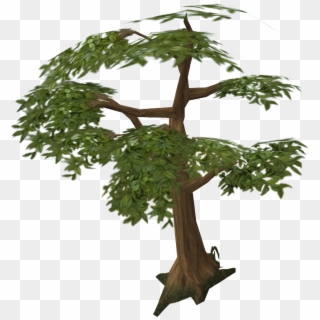 Wood Clipart