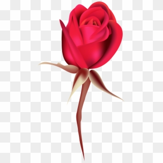 Rosa Roja Rosa Png Ornamental Clipart