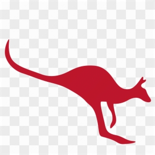 Kangaroo Cartoon Free Png Image Canguro Dibujo A Color Clipart 