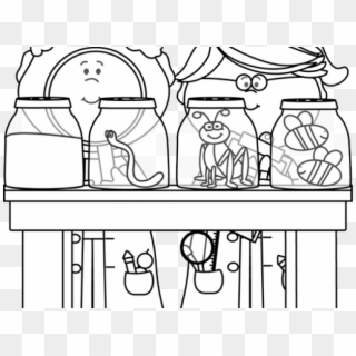 Science Clipart Bug - Black And White Clipart Children Science - Png Download