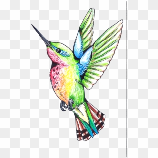 Hummingbird Tattoos Png Clipart - Drawing Transparent Png