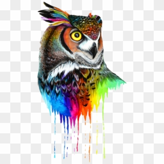 #owl #colors #mandala #bird #animal #nature #beak #wings - Tattoo Clipart