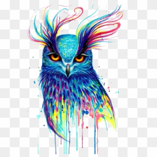 #mq #owl #colorful #paint #birds #bird #flying - Colorful Owl Drawings Clipart