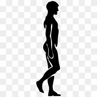 Correct Posture Of Walking Clipart