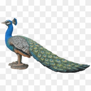 Peacock Garden Ornament - Peacock Resin Clipart