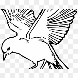 White Dove Clipart Fire Png - Flying Bird Line Drawing Transparent Png