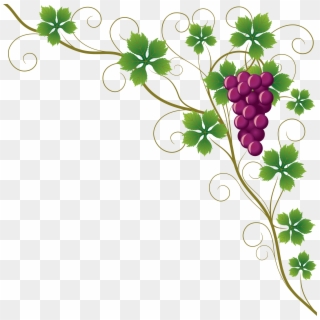 Common Grape Vine Grape Leaves Wine Clip Art - Design Border Of Chart - Png Download