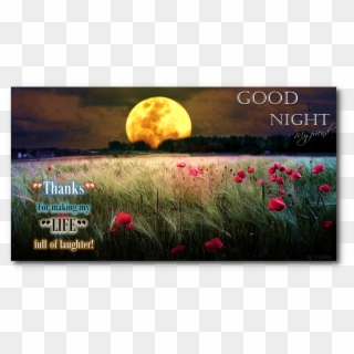 Good Night Png Transparent Images - Beautiful Flower Good Night Gift Clipart