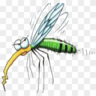 Graphic Bothered Free On Dumielauxepices Net Insect - Transparent Mosquito Clipart