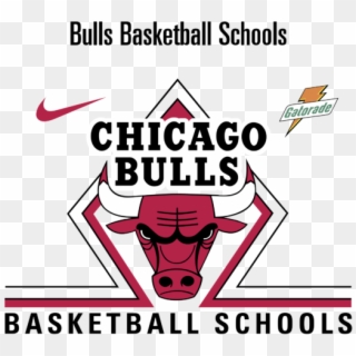 Bull Basketball Schools Logo Png Transparent & Svg - Graphic Design Clipart