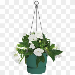 Greenville Hanging Basket - Bouquet Clipart
