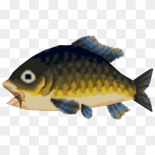 S Animal Crossing New Leaf Carp The Models Resource - Pomacentridae Clipart