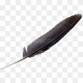Free Png Download Feather Png Images Background Png - Transparent Background Quill Png Clipart