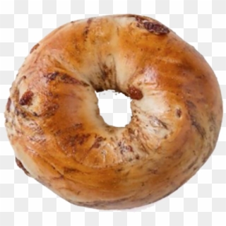 Cinnamon Raisin Bagel - Doughnut Clipart