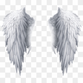 Popular And Trending Feather Stickers On Picsart - Transparent Background Angel Wings Png Clipart