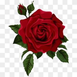 Rosa - Red Rose Drawing Clipart