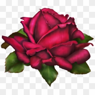 Rose Png Art - Summer Roses Clipart